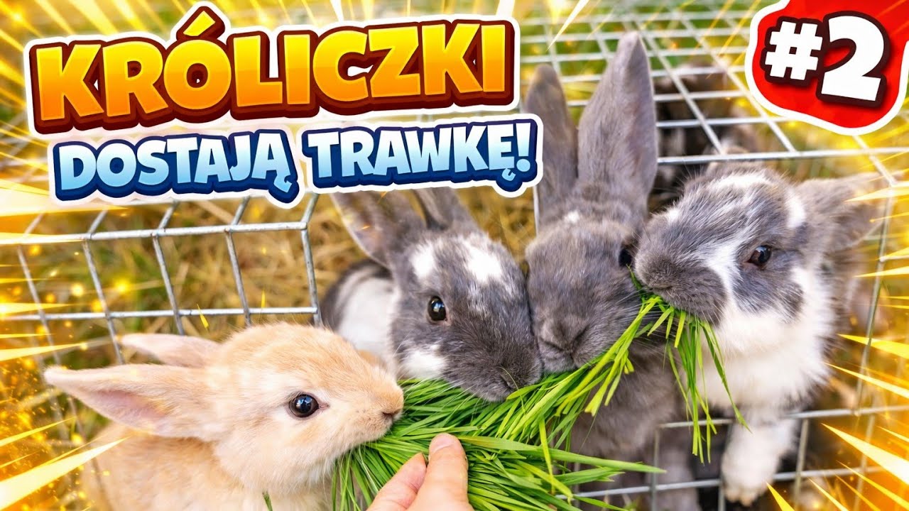 Tam, gdzie zaczyna się spokój odc.2