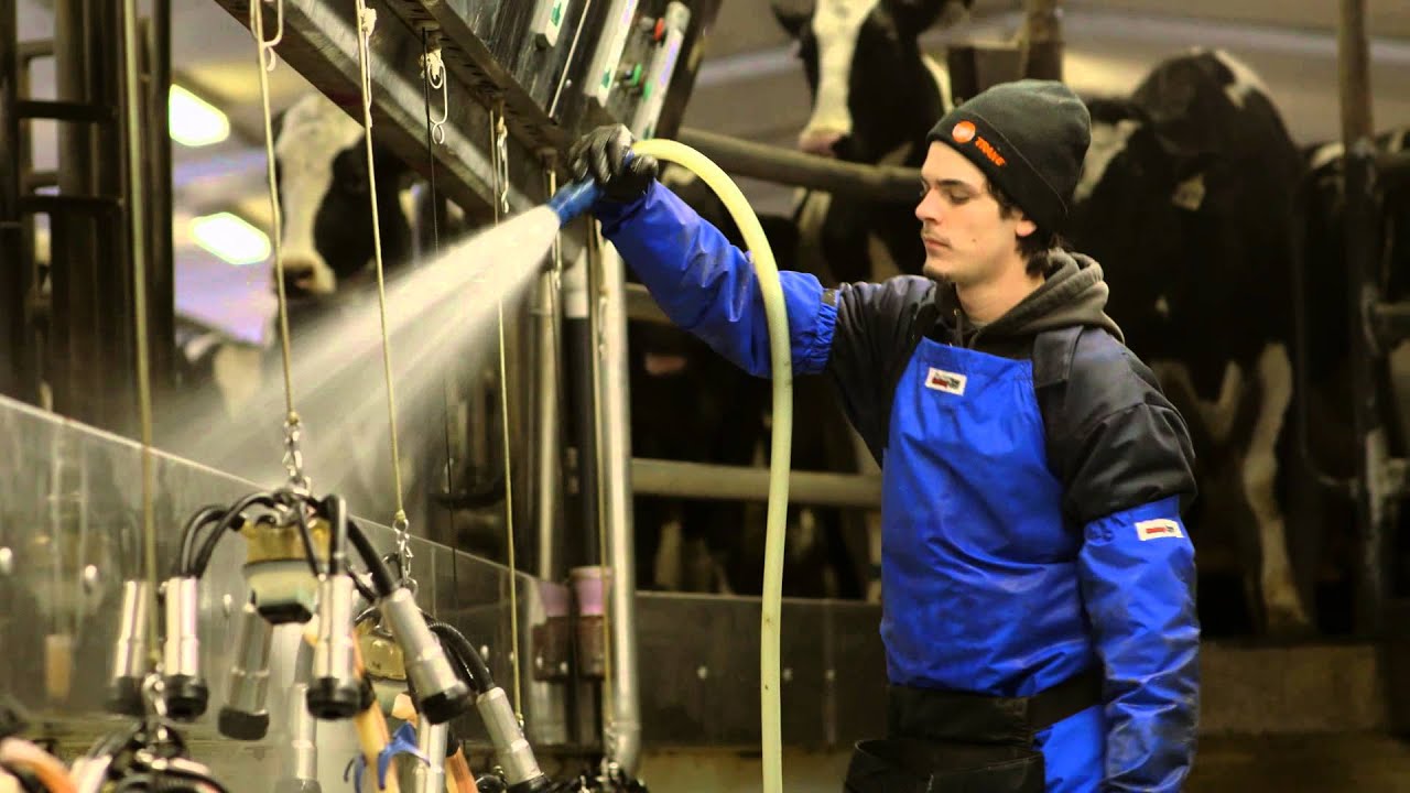 Safety Standards (:30sec) - 100% Canadian Milk