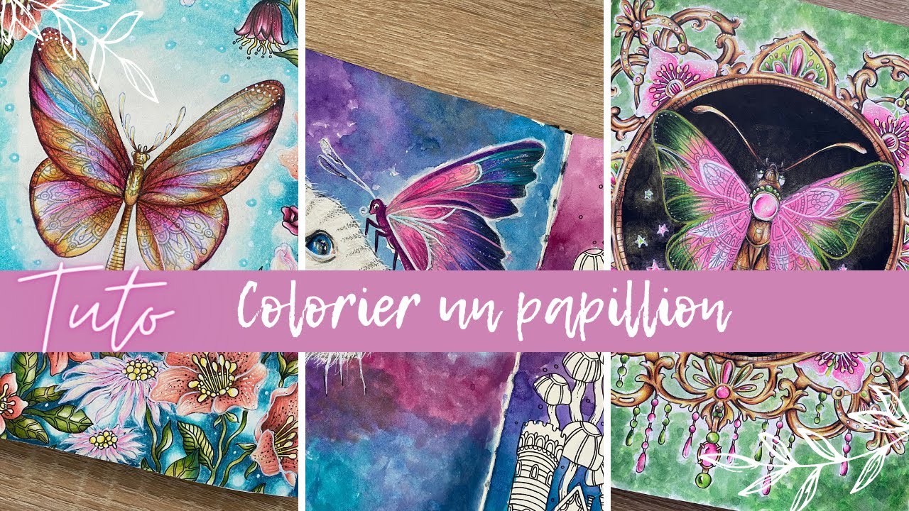 TUTO COLO - Papillon