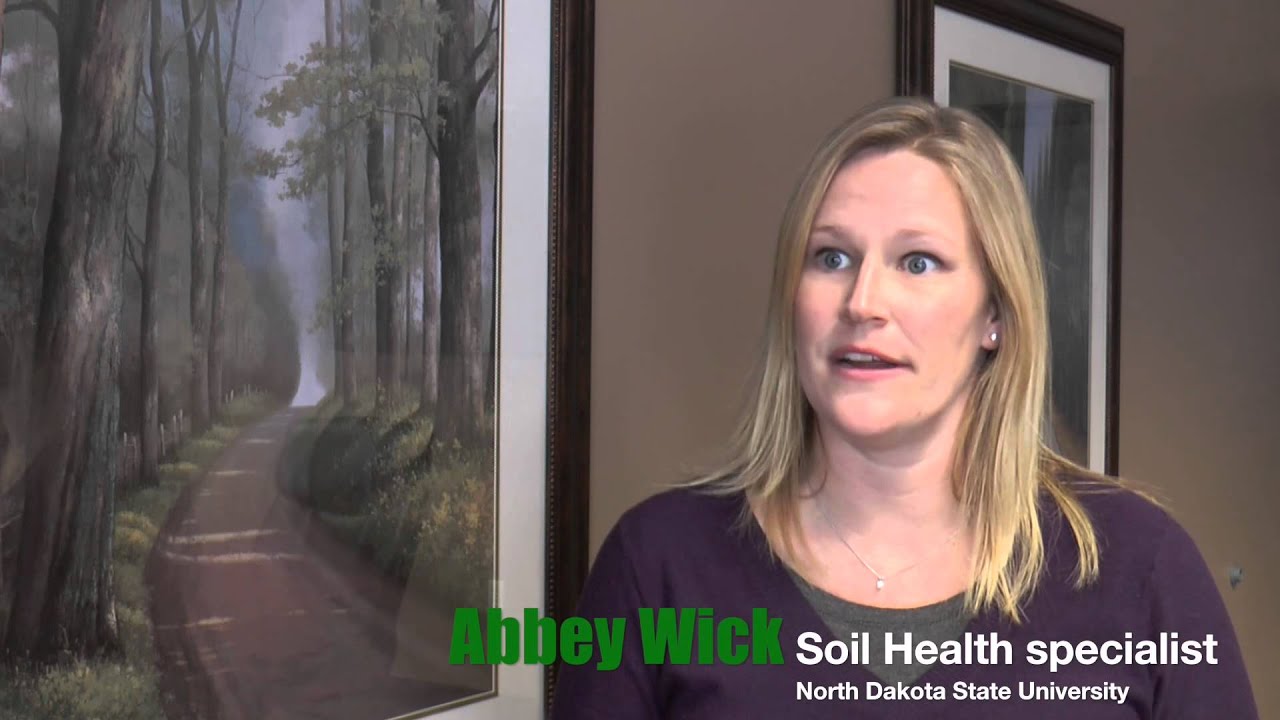 Compaction and Cover Crops