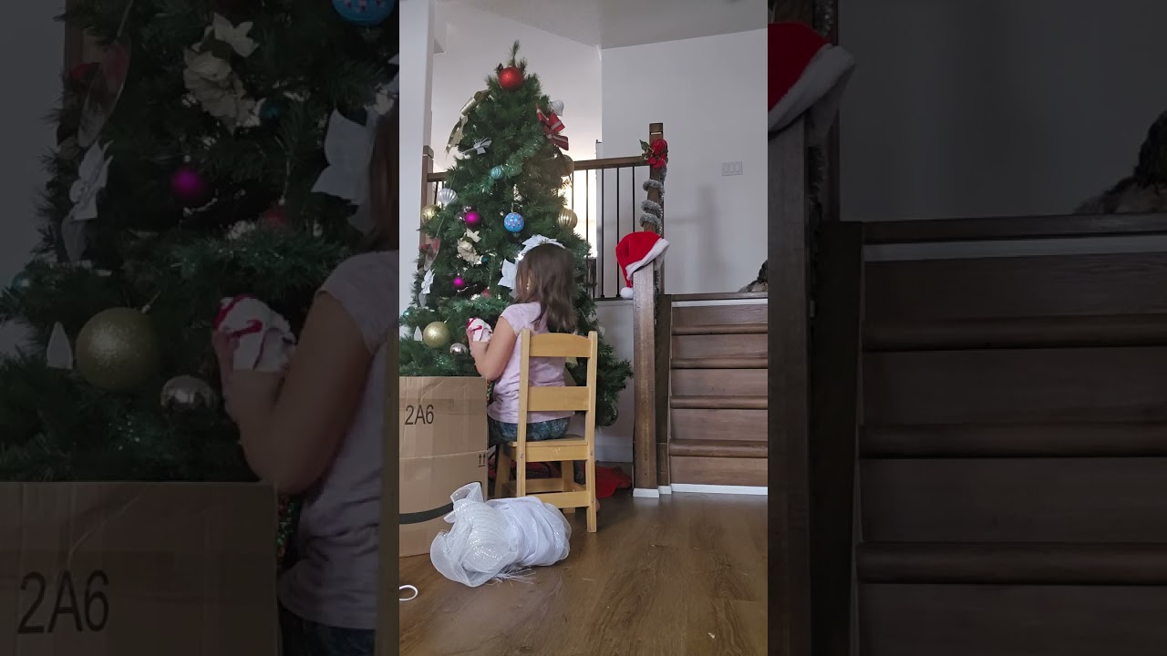 Kids putting up 12ft Christmas Tree