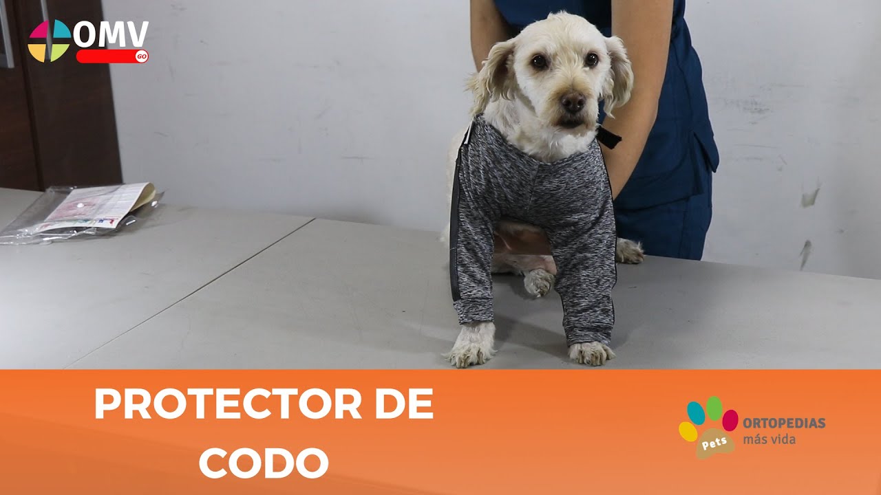 Protector de Codo: Que es y como utilizarlo
