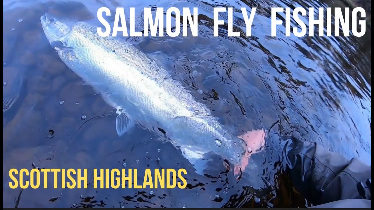 SALMON FISHING | SPRINGERS | Scottish Highlands | Scotland | Spring - 2022