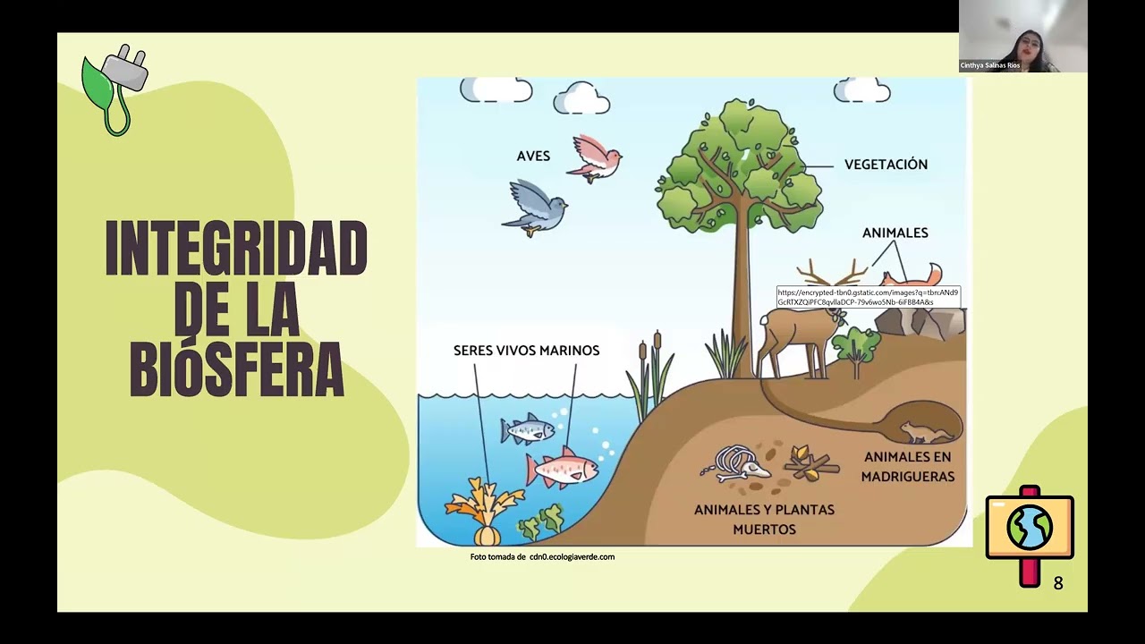 Seminario | Límites Planetarios y Su Relevancia en el Contexto Ambiental de México