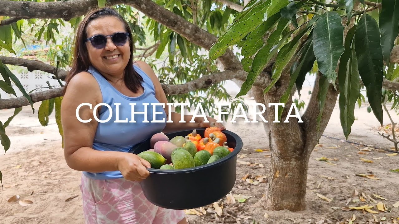 RIQUEZAS DA ROÇA:Veja quanta fartura existe nesse lugar!