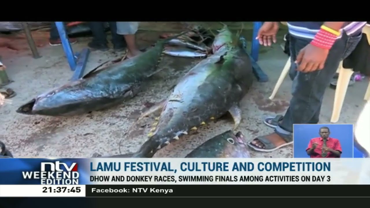 A 90kg fish and other exciting stories from Lamu Festival