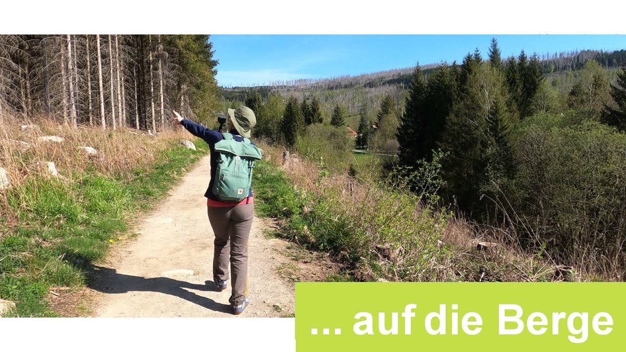 Wandern im Harz: Schierke - Wurmberg - Winterberg  -  mit dem @videoformer