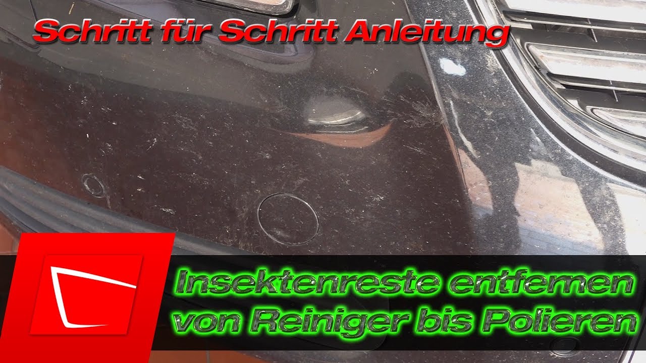 eingebrannte Insekten entfernen - Insektenentferner bis Polieren - Anleitung Insektenreste entfernen