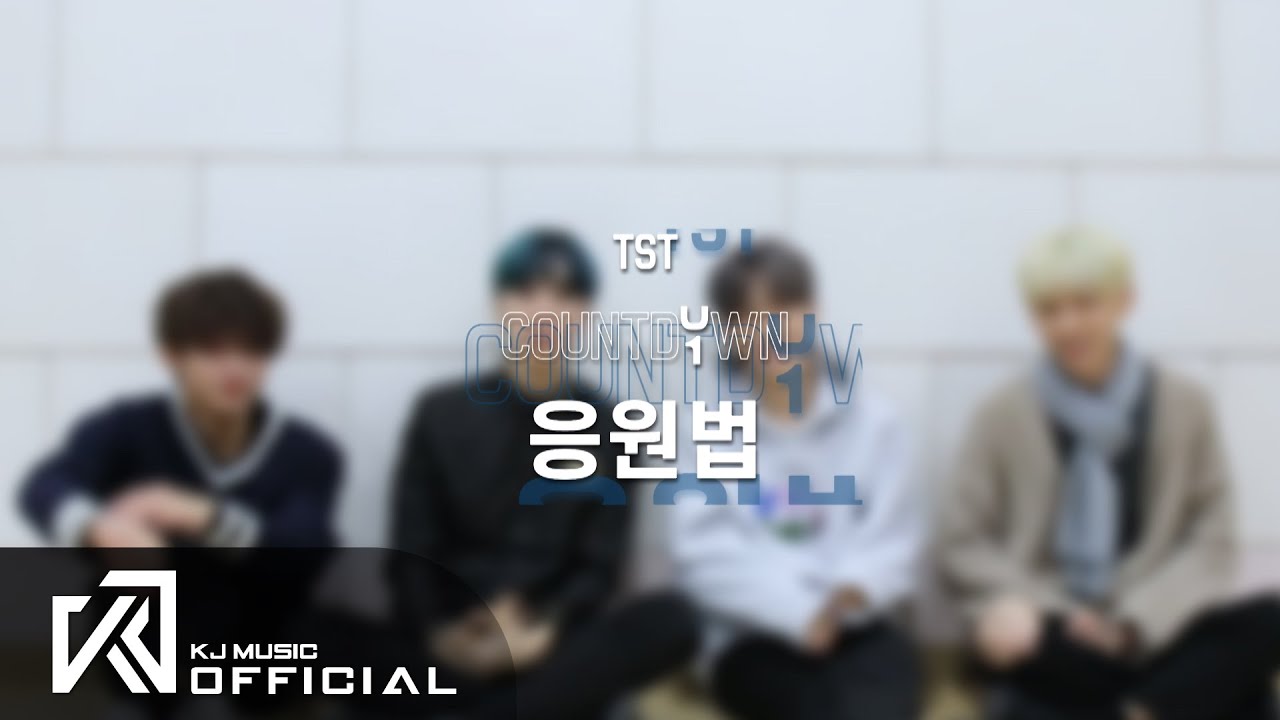 일급비밀(TST) - Count down 응원법