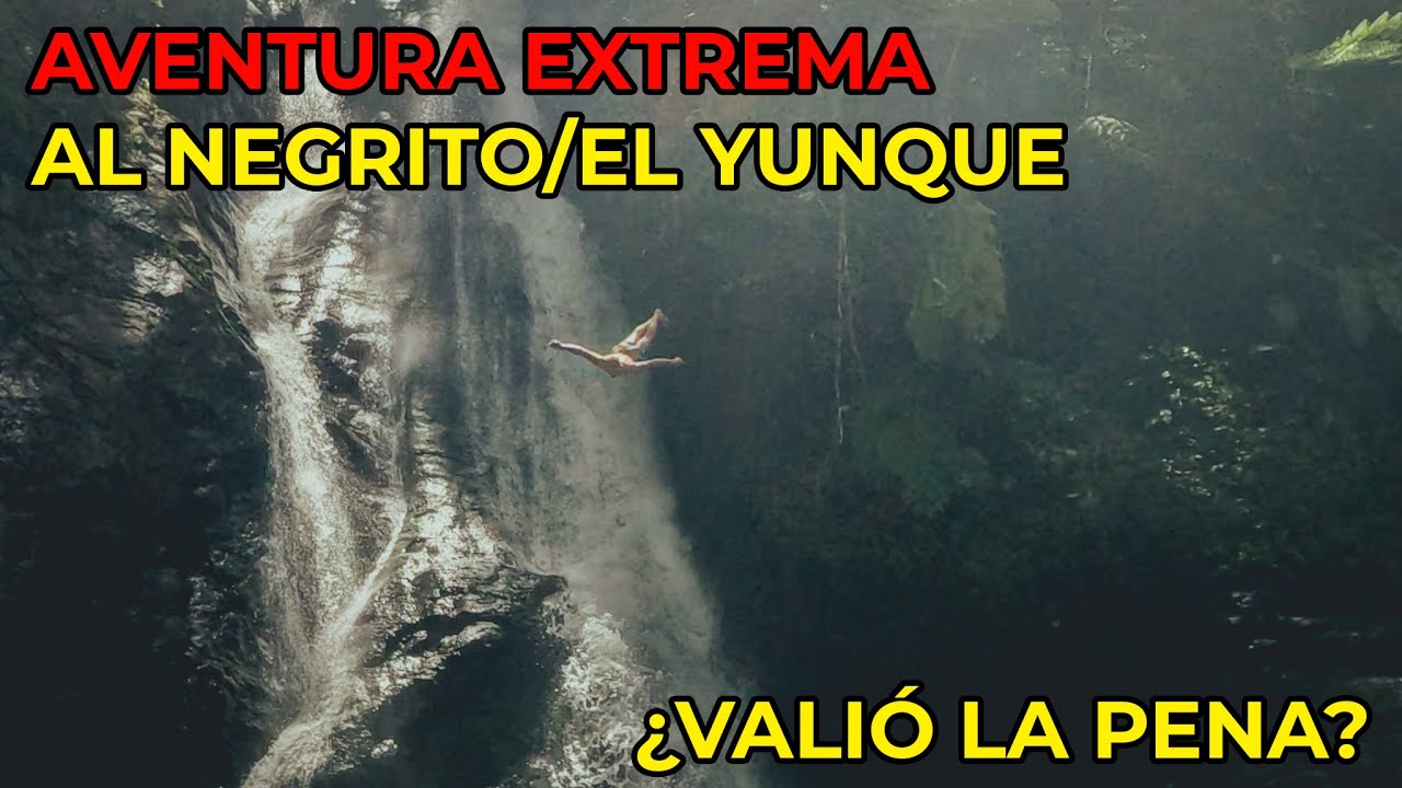 ¿Vale la Pena Llegar al Negrito? Explorando las Profundidades del Yunque