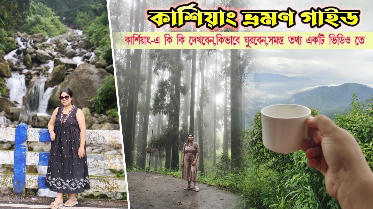 Kurseong Tourist Places | কার্শিয়াং ভ্রমণ গাইড | Kurseong Tour Plan | Kurseong All Sightseeing