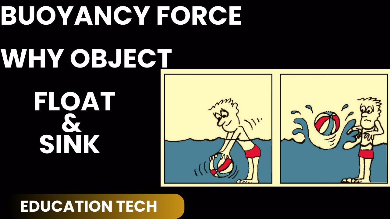 What is BUOYANCY |Float & Sink |Physics |Education Tech |2023