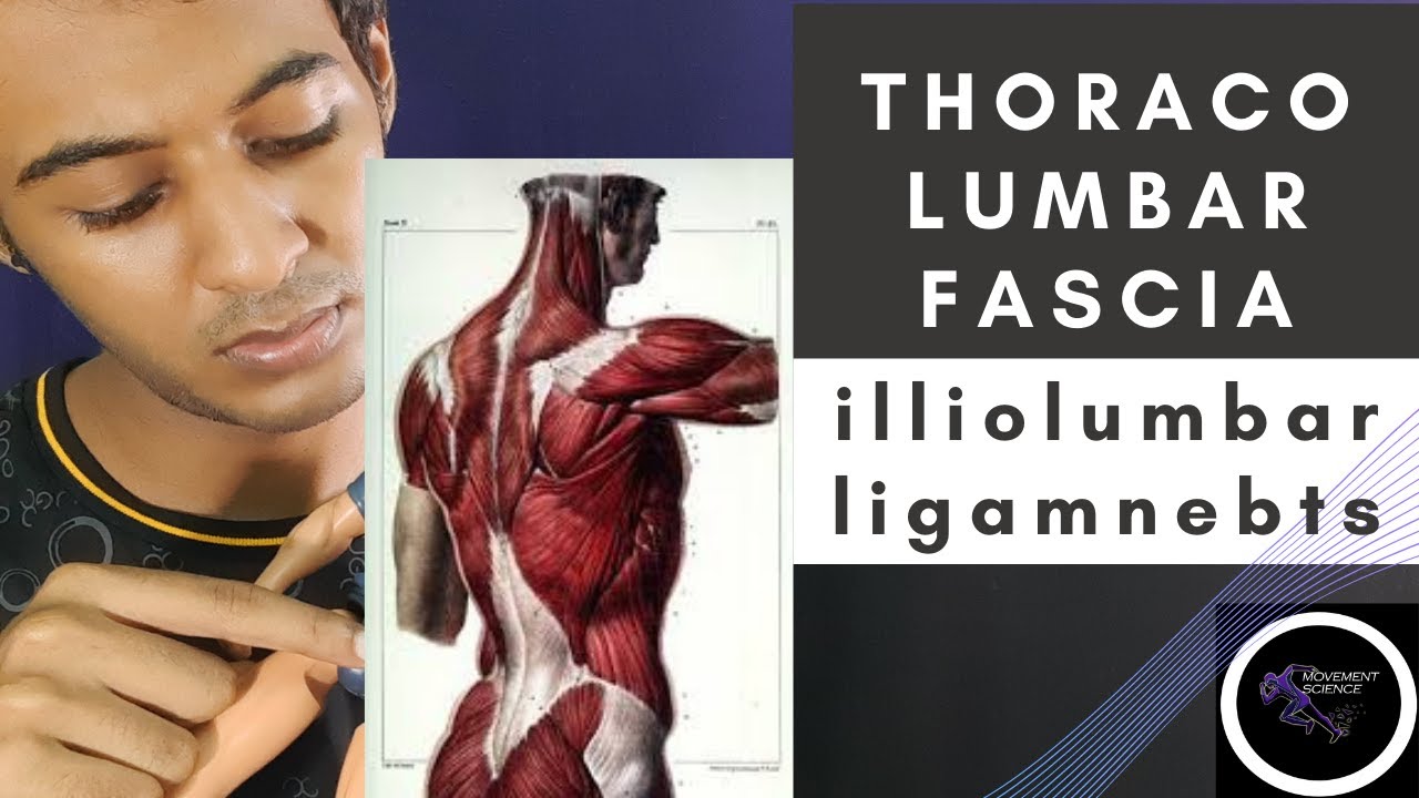 ILIOLUMBAR LIGAMENT AND THORACOLUMBAR FASCIA(BIOMECHANICS OF SPINE)Physiotherapy Tutorial