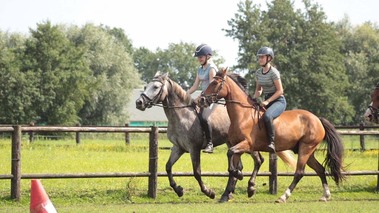 3e Ponykamp 2023 Stal Waterval