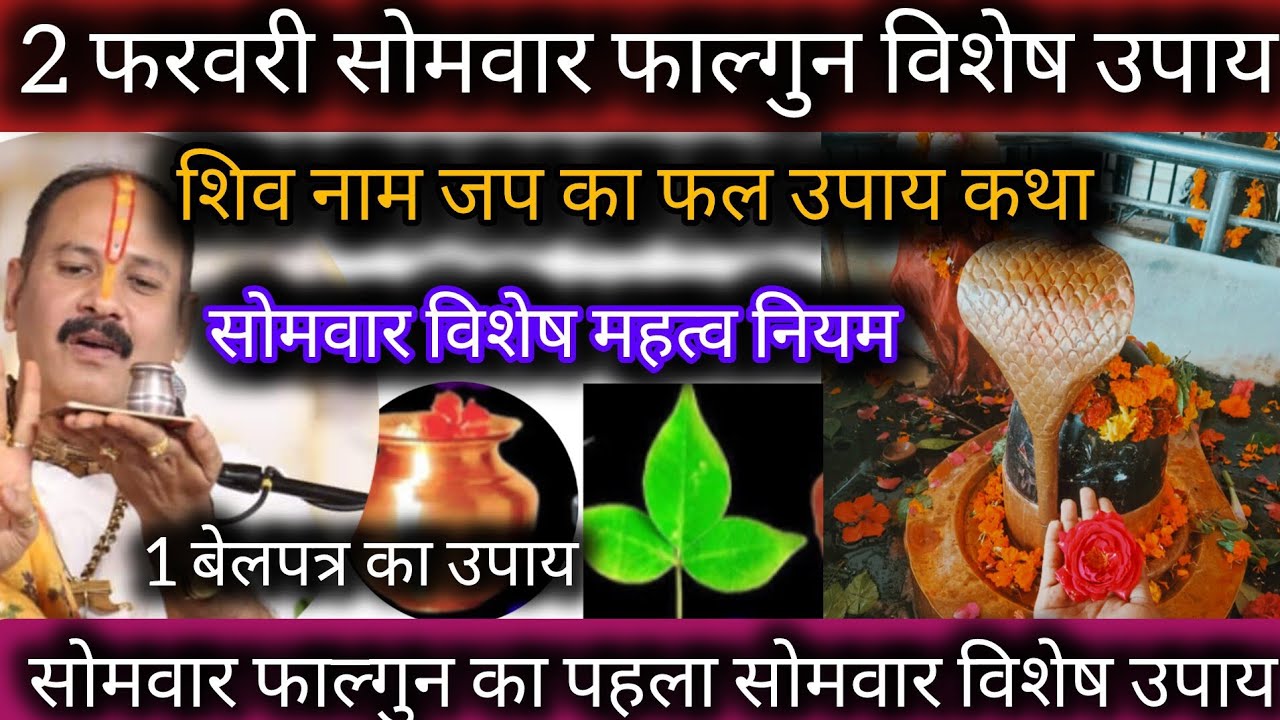 2 फरवरी फाल्गुन मास सोमवार पहला दिन !! विशेष कथा उपाय‌ !! बेलपत्र का सही उपयोग, शिव जप का फल प्राप्त