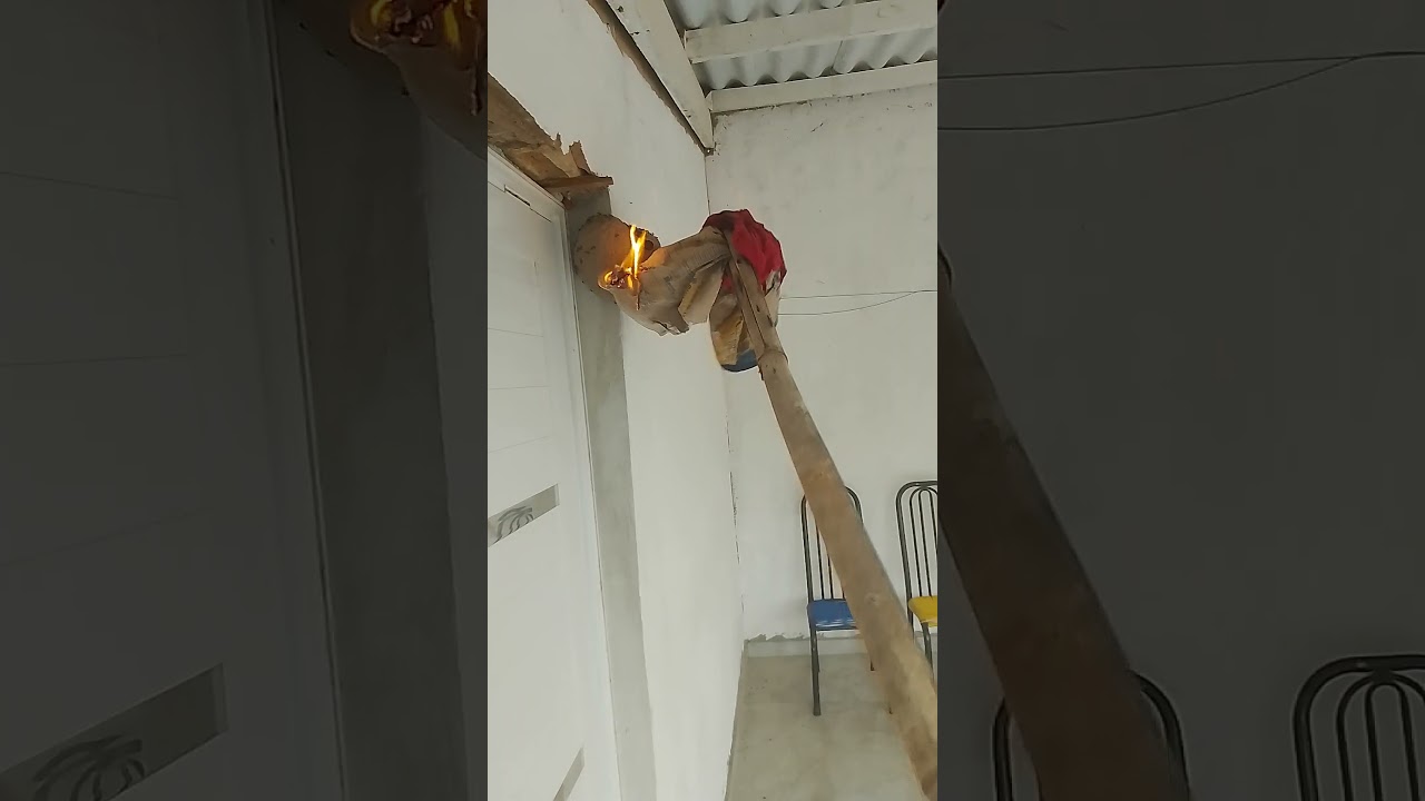 Marimbondo Como Acabar SIMPLES r&aacute;pido M&Eacute;TODO
