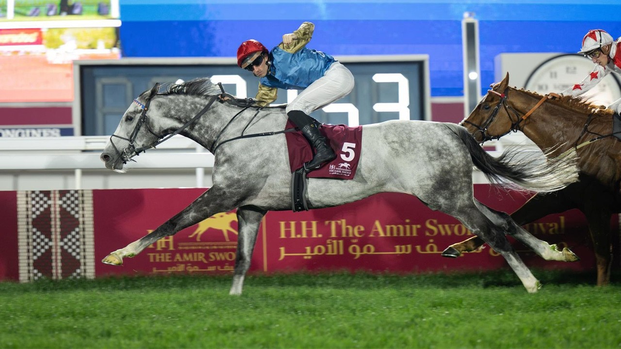 RM 51  Al Rayyan Race 6 -  H.H. The Amir Sword Festival - Day 4