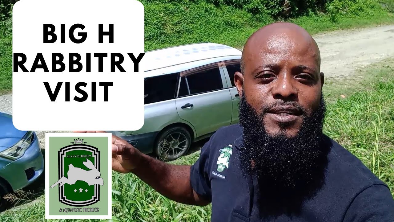 Trinidad Rabbit Farming - Big H Rabbitry Visit