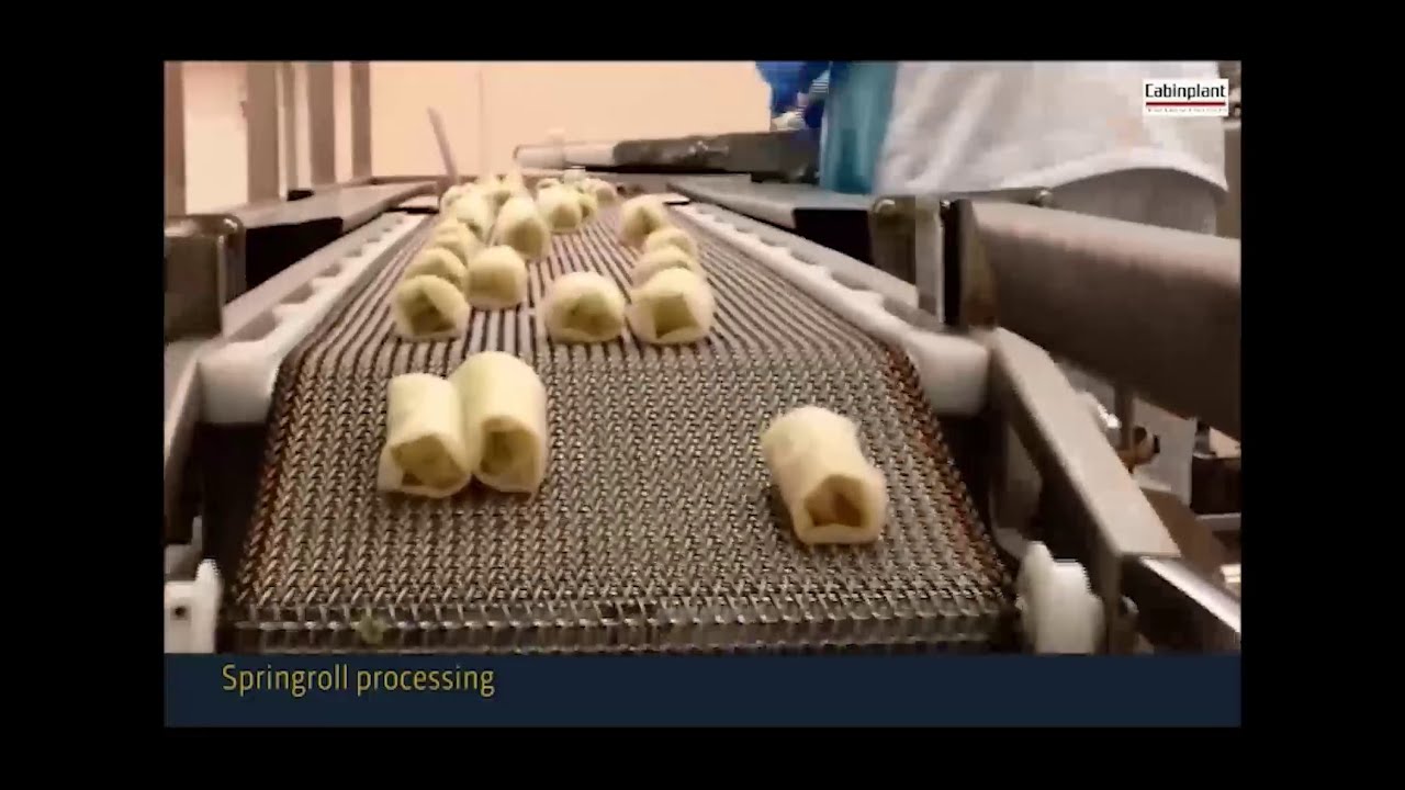 Cabinplant Automated Spring Roll Machine