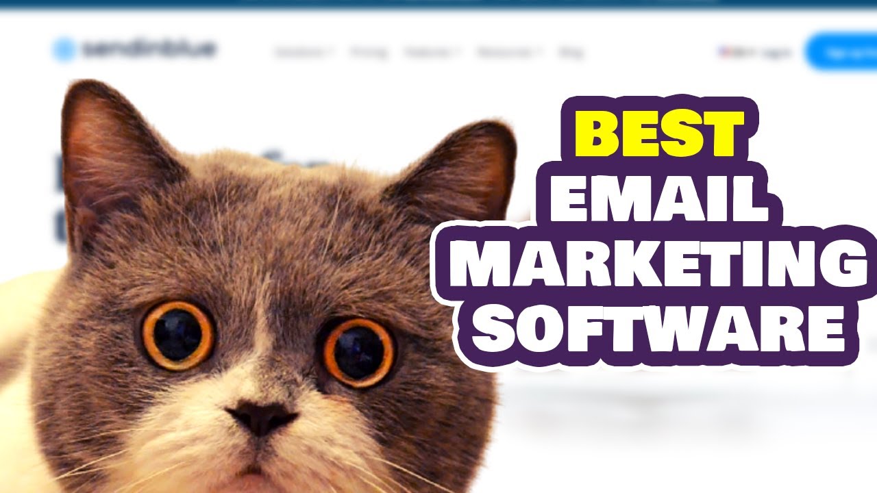 Best Email Marketing Software For Business 2021 🔥