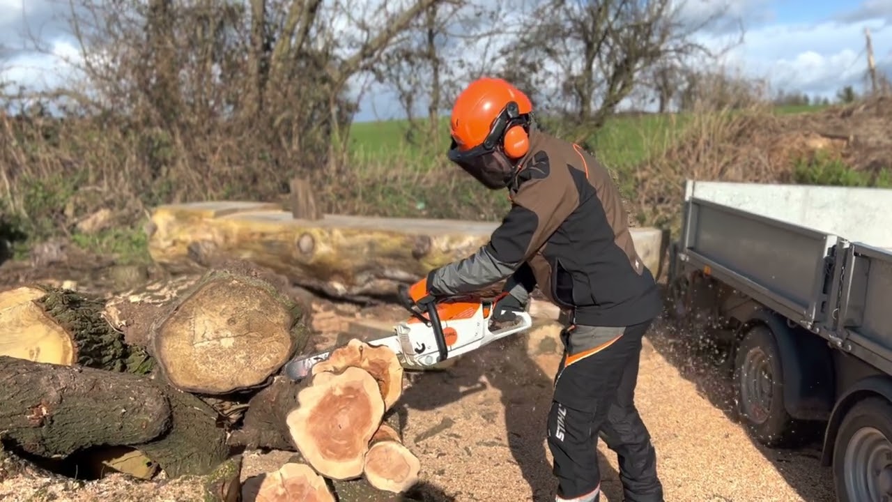 STIHL MSA 300 Chainsaw using the BRAND NEW AP500s Battery