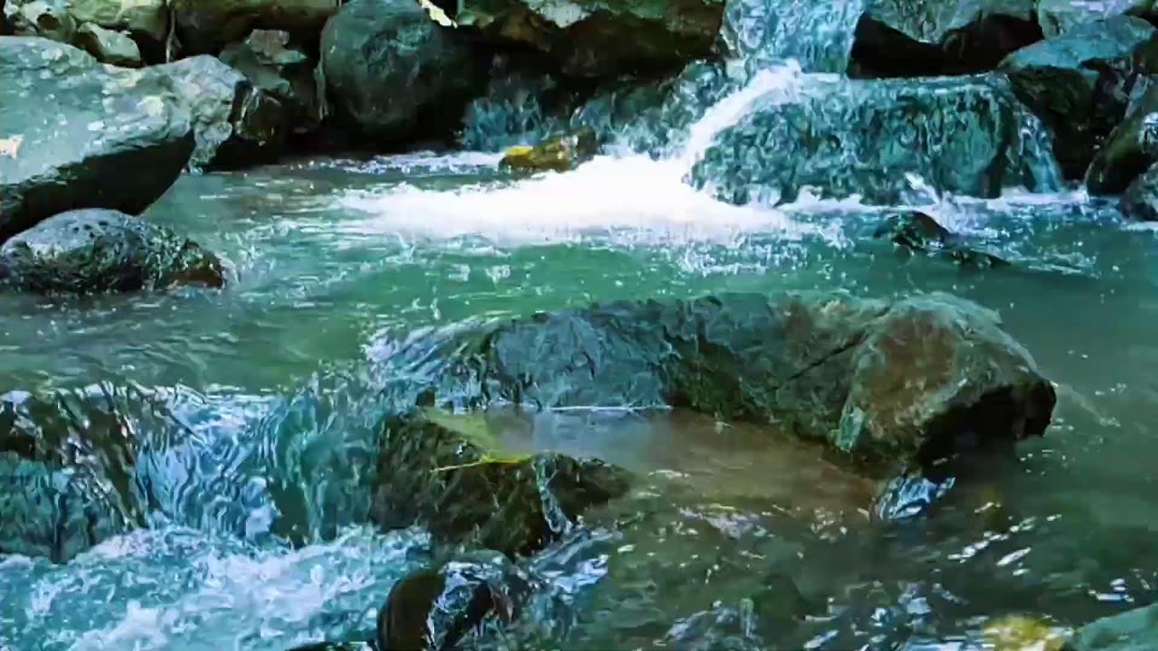 Calming River and Forest Birds – Natural White Noise 1080p | Deep Sleep Video