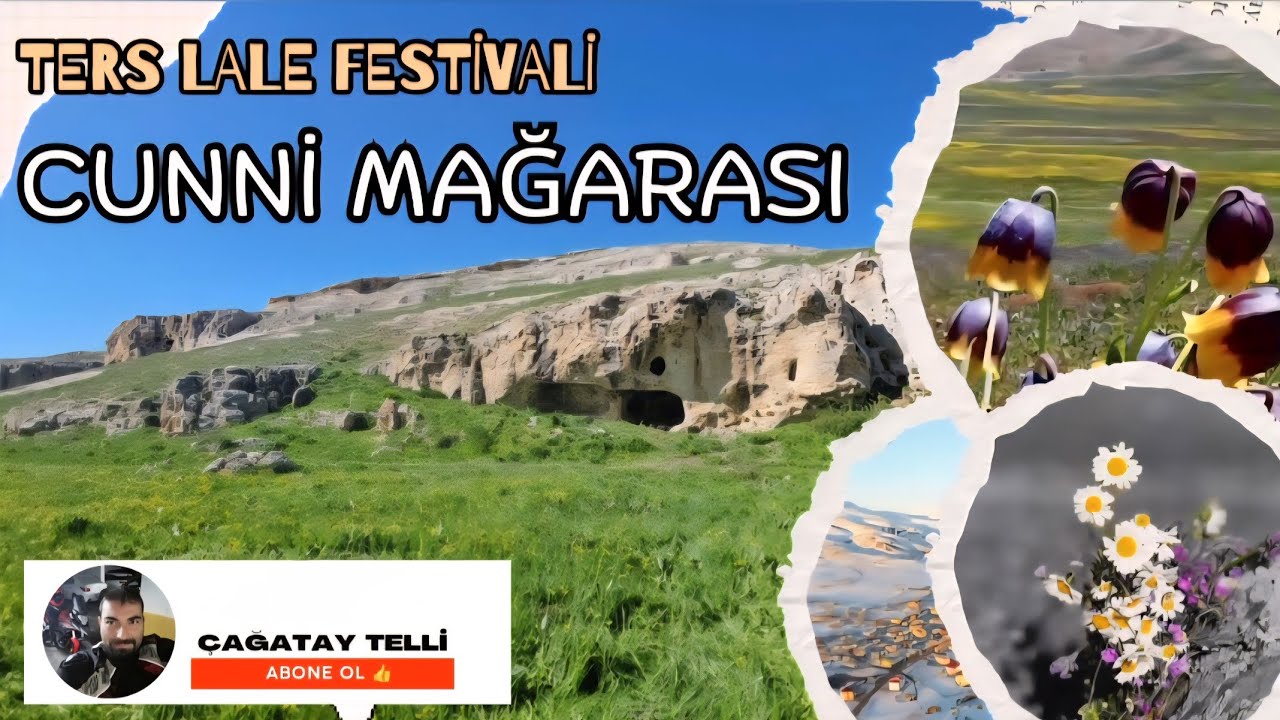 Ters Lale Festivali