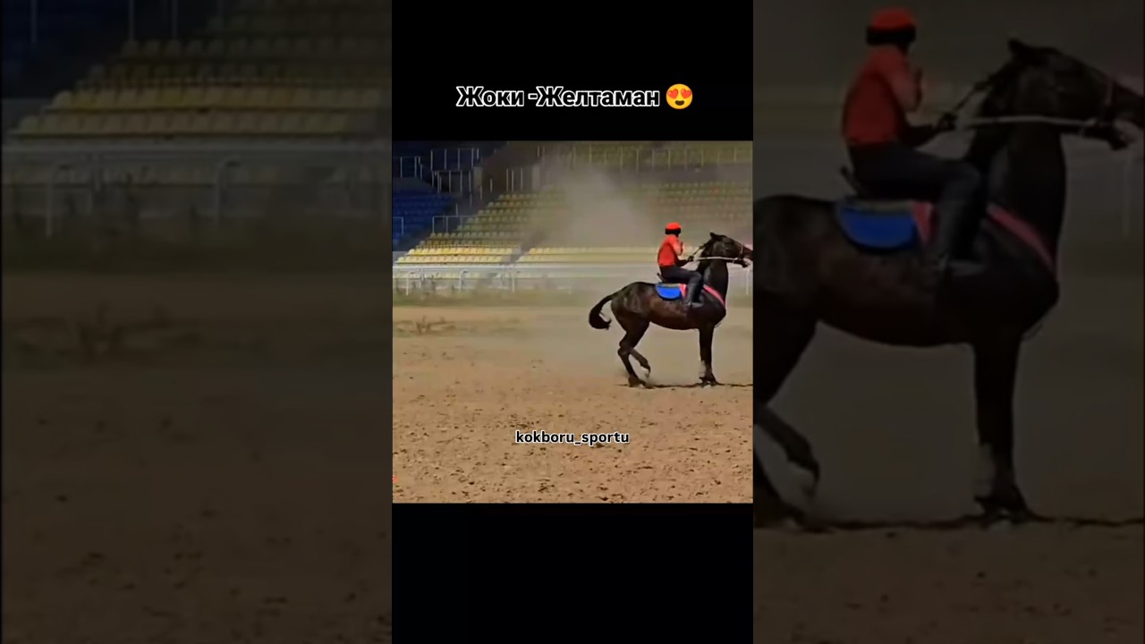 Октой учкан Желтаман 😍🇰🇬 #топ #тулпар #аламанулак #кыргызстан #кокбору #ынтымак #достук