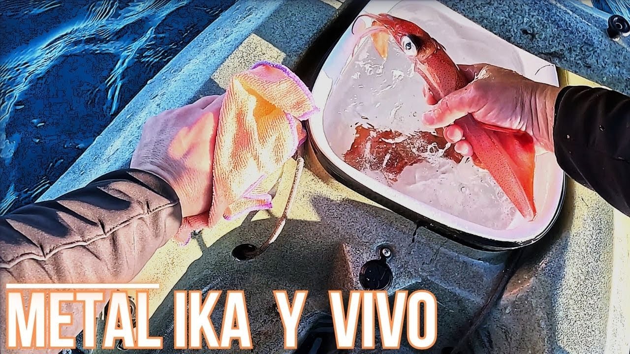 Desespero con dos cartuchos. Vivo desde kayak y Metal Ika.