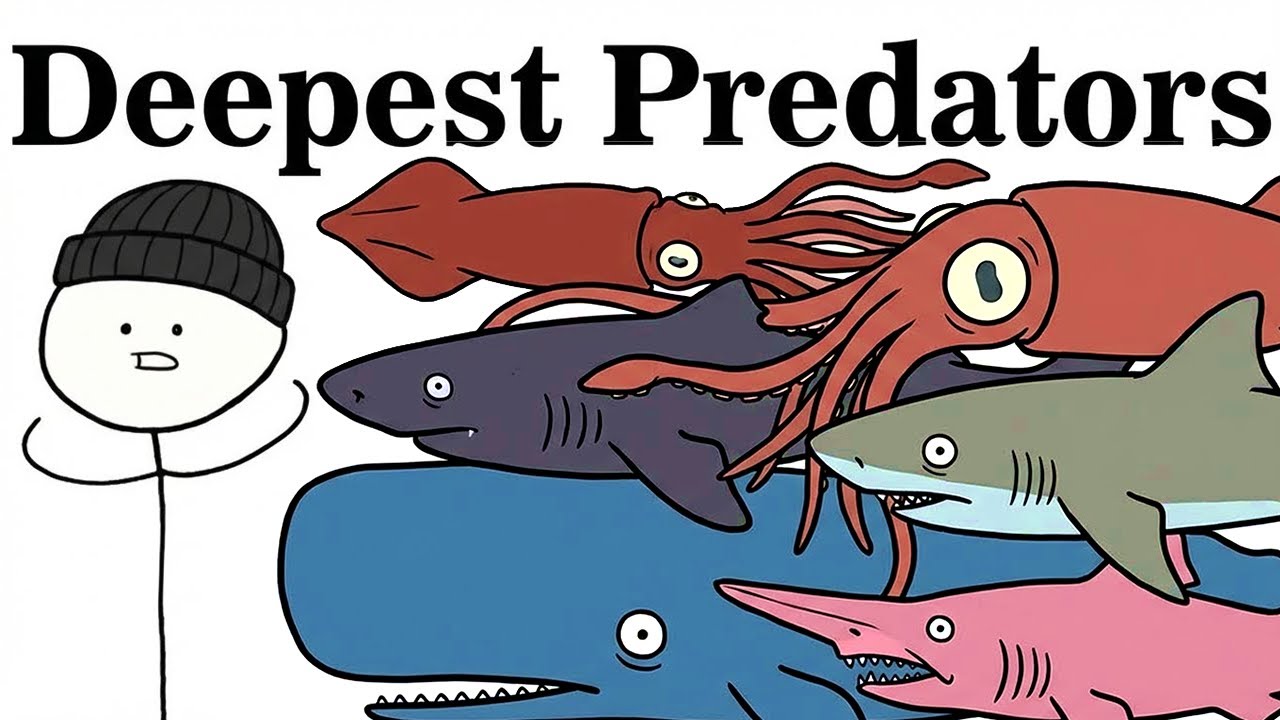 The Deepest Predator No One Talks About