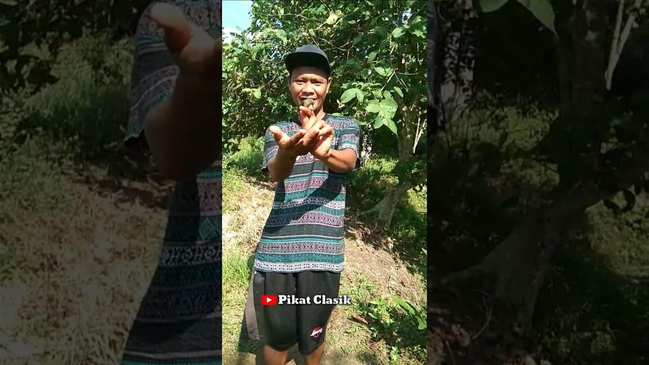 Merilis Burung Cabe-Cabe