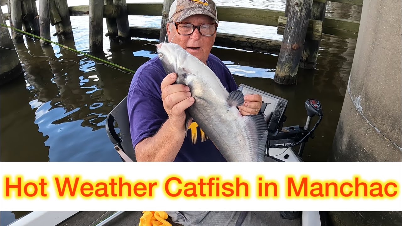 Catfishing in Manchac