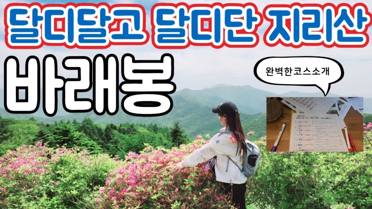 전북남원  지리산 바래봉 등산 [정령치출발 ]  주차장/ 난이도/ 코스/ 영상 하나로 끝