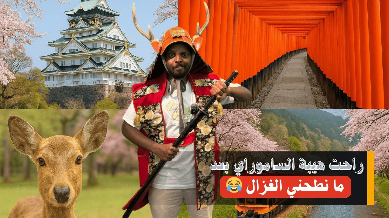 جولة في قلب #اليابان 🇯🇵| #اوساكا  - #نارا - #كيوتو تجارب اسطورية  ساكورا وغزلان وعشرة ألاف بوابة!