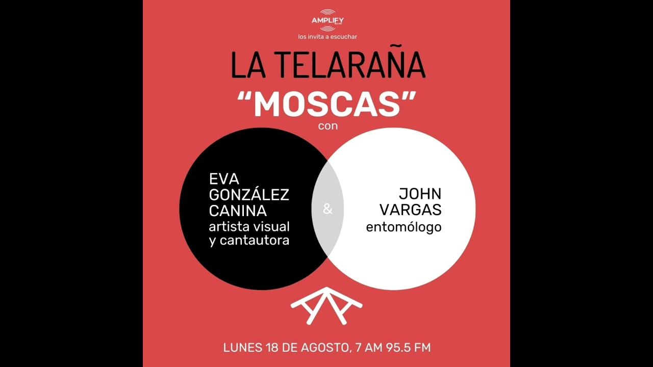 Moscas