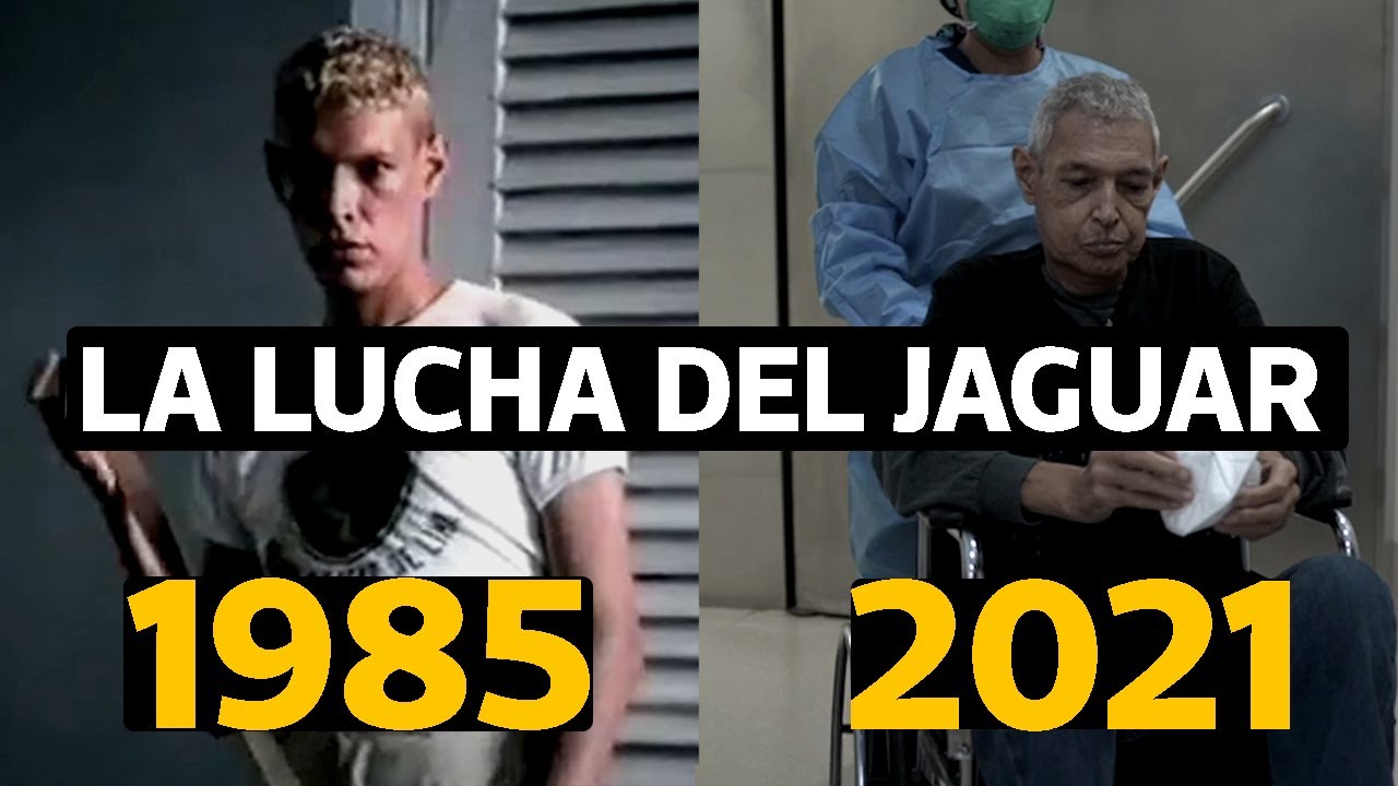La lucha del Jaguar: Juan Manuel Ochoa en su mayor batalla contra el cáncer| El Comercio | VideosEC