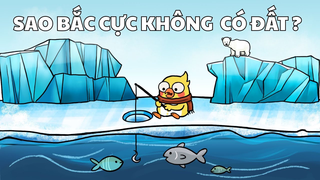 Tại sao Nam Cực Có Đất còn Bắc Cực thì không?