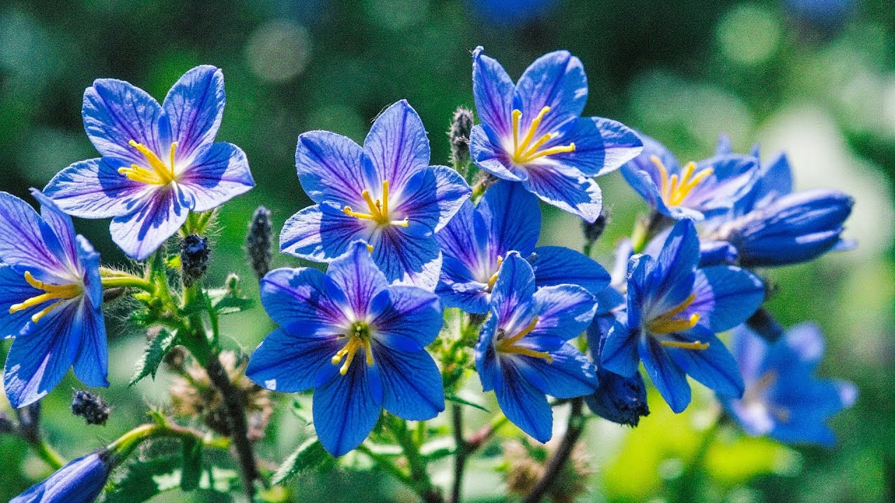 Музыка для сердца и тишины 🌿 Самая красивая мелодия Сергея Грищука | 2026 #relax