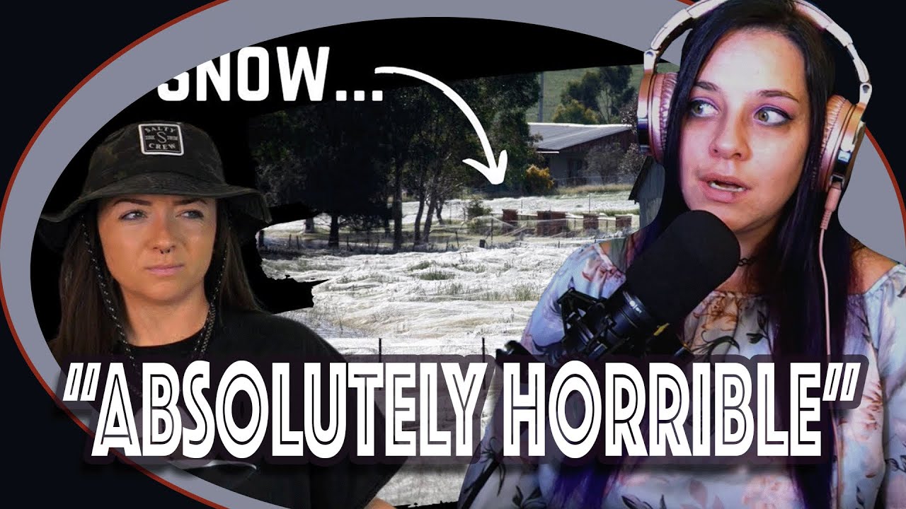 Lauren Reacts! When Animals Get Creepy! by Lindsay Nikole 