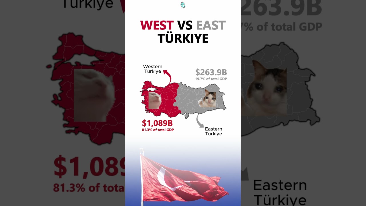 West vs. East T&uuml;rkiye #T&uuml;rkiye #turkey #istanbul #Economy #GDP #shorts