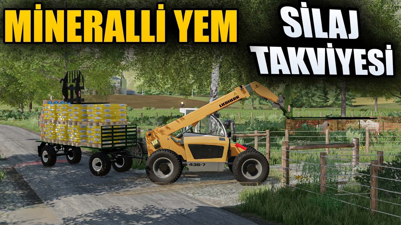 TELESKOPİK TAŞIYICI İLE MARKET ALIŞVERİŞİ | FARMING SIMULATOR 22