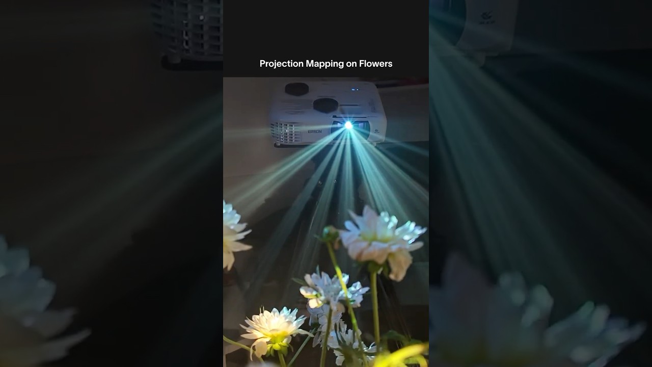 Projection Mapping 🤝 Flowers #cinematic #photography #projectionmapping