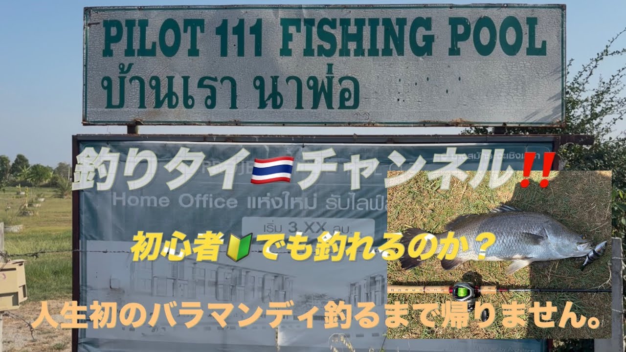 PILOT111   バラマンディ　釣りタイチャンネル
