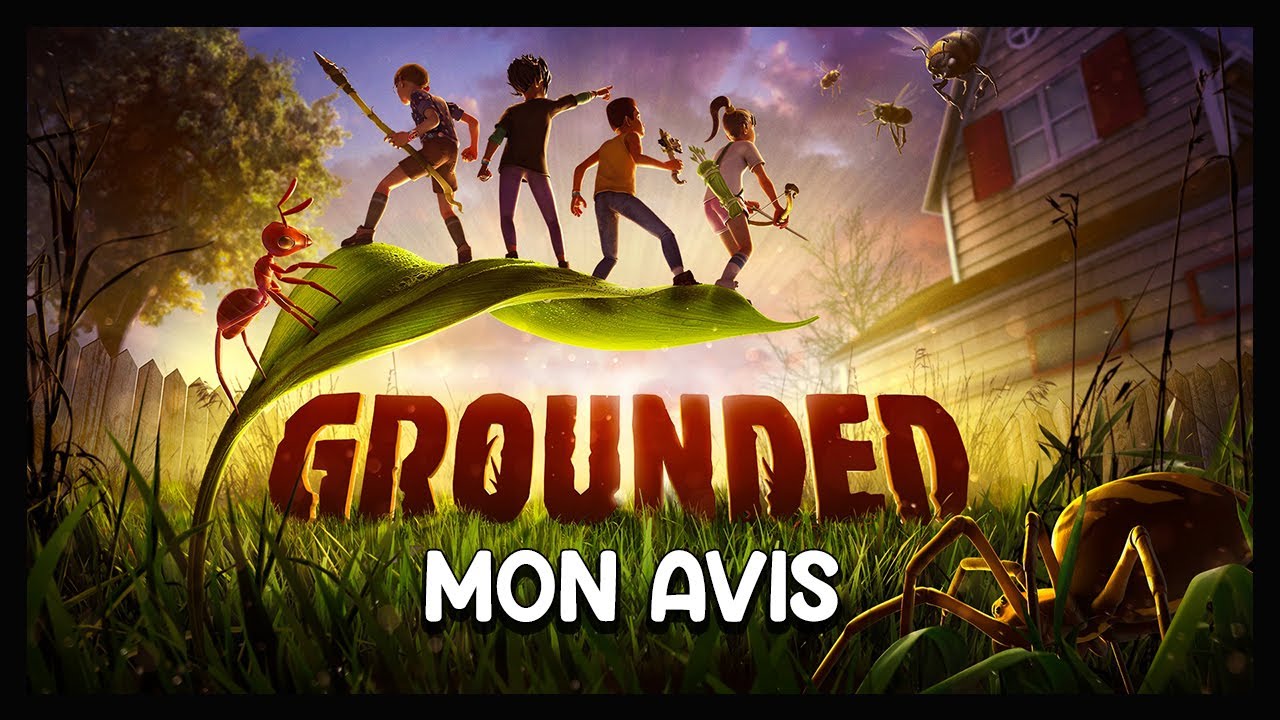 MY OPINION ON...GROUNDED