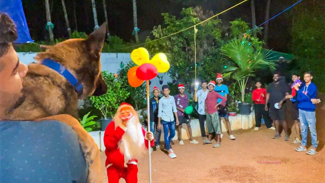 പേടി ആയിപോയി, ഇല്ലെങ്കിൽ എല്ലാത്തിനേം ഞാൻ കാണിച്ച് തരാരുന്നു 😠 ലെ ലെയ്ക 😂|LeoLaika|Chottuz