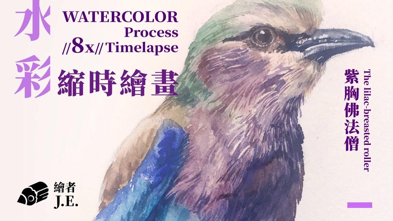 花鳥水彩 | 縮時繪圖示範 |紫胸佛法僧|watercolor time-lapse demo Lilac-breasted Roller