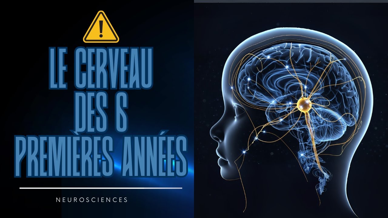 Comment la Petite Enfance Façonne le Cerveau Pour Toute la Vie