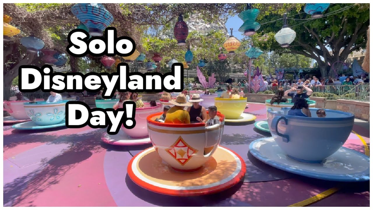 ALFREDO'S FIRST SOLO DISNEYLAND DAY & GETTING WORK DONE ON THE BACKYARD! - June 19, 2024