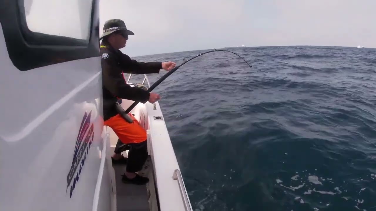 Yellowfin Tuna fishing Cape Town