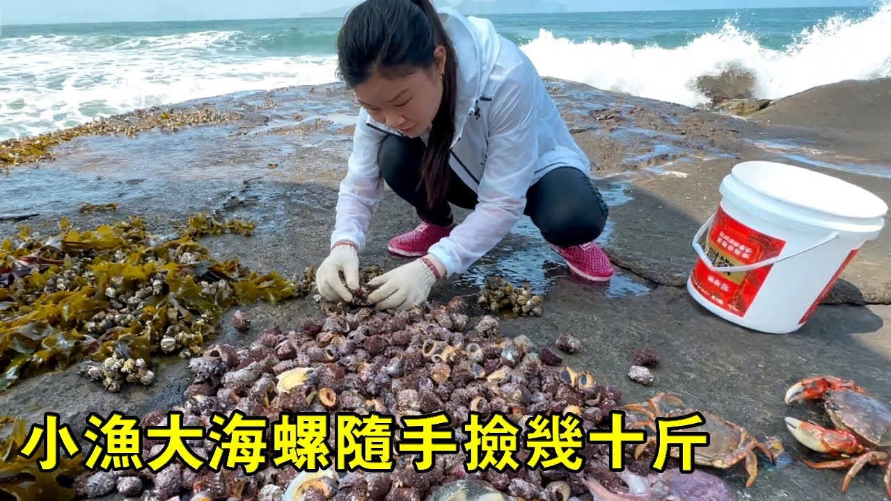 小漁外海發現趕海寶地！岸邊全是大海螺，隨手撿幾十公斤【漁小仙】